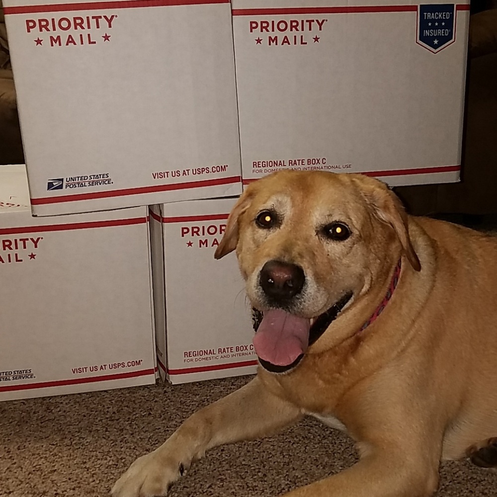 JOJO'S 5lb MYSTERY BOX MADNESS - Picture 1 of 1